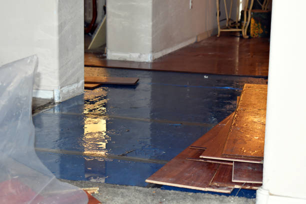 Professional Water Damage technician working in Paden City, WV