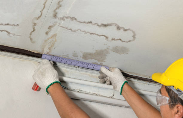 Reliable Water Damage contractor in Paden City, WV by Water Damage Irwin